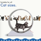 33-Inch Large Carpet-Surface Cat Exercise Wheel🐈🐈🐈